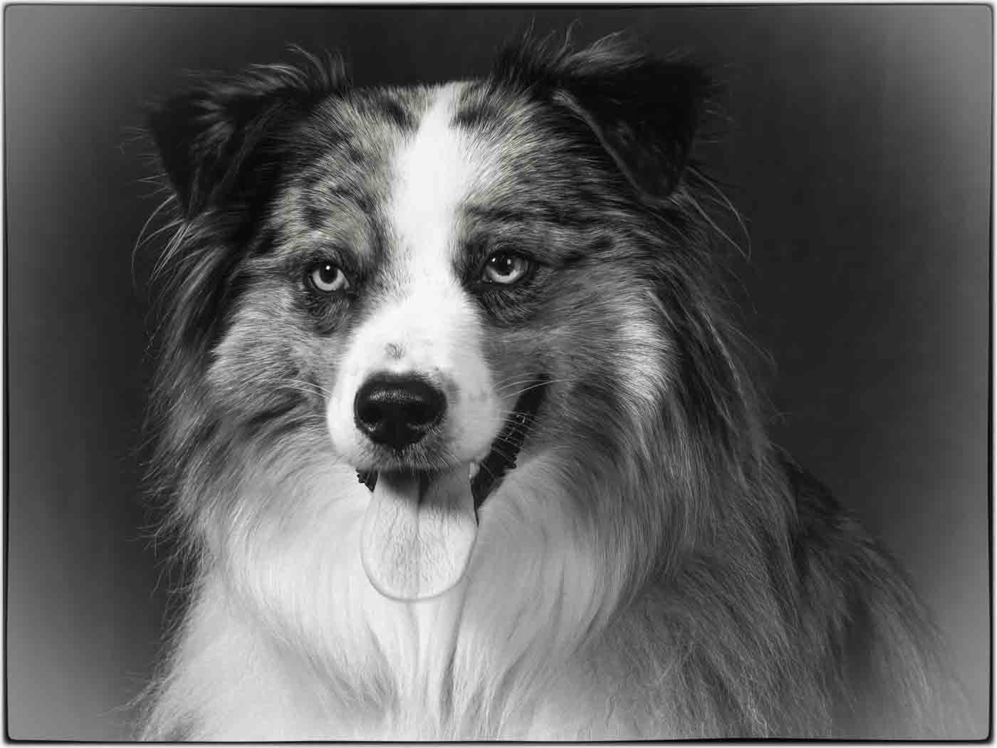 Creative In Class A By Sandy O'Hare For I See That Cookie SEP-2022.jpg